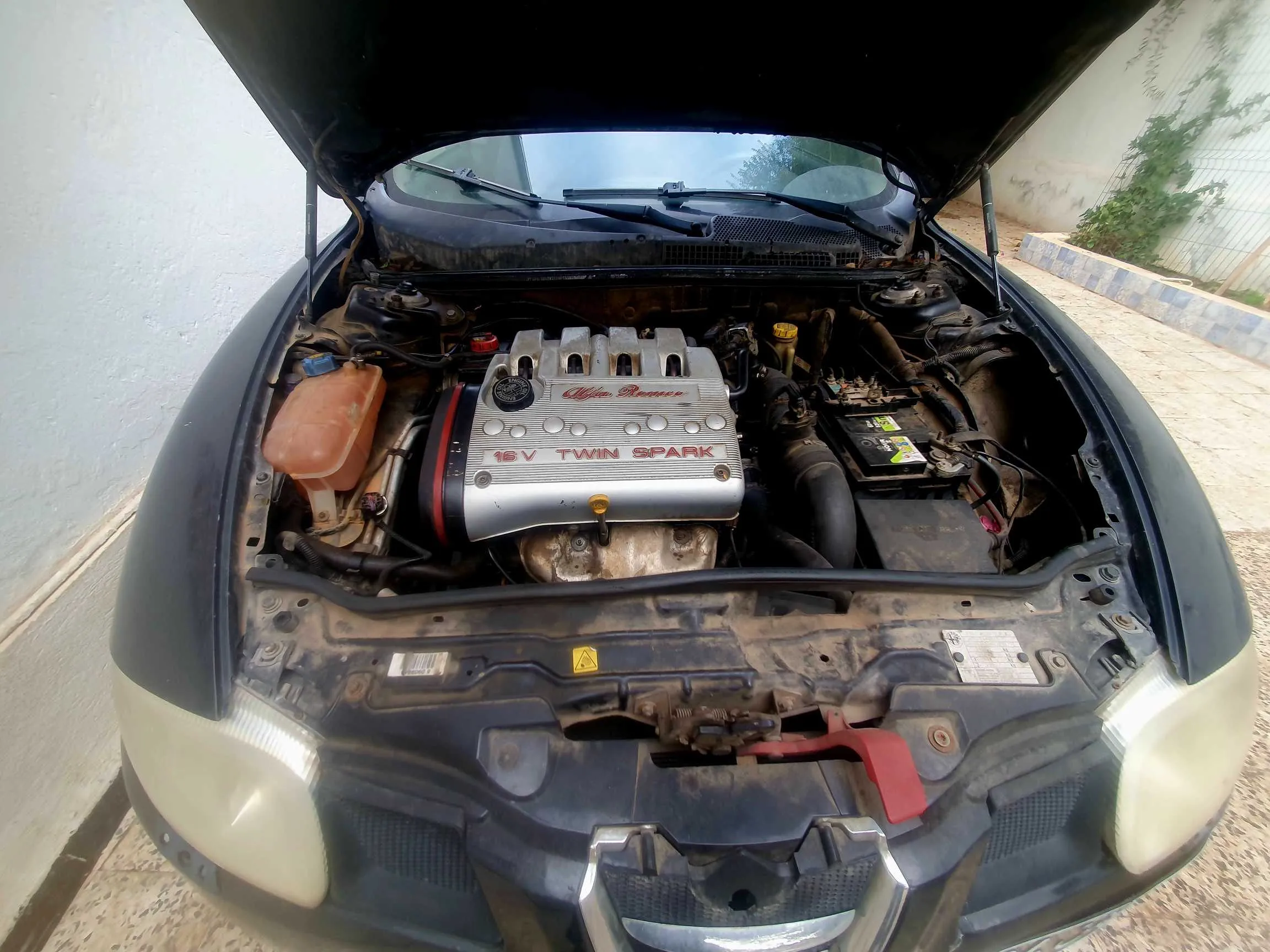  Alfa romeo GT à Tunis - Photo 3