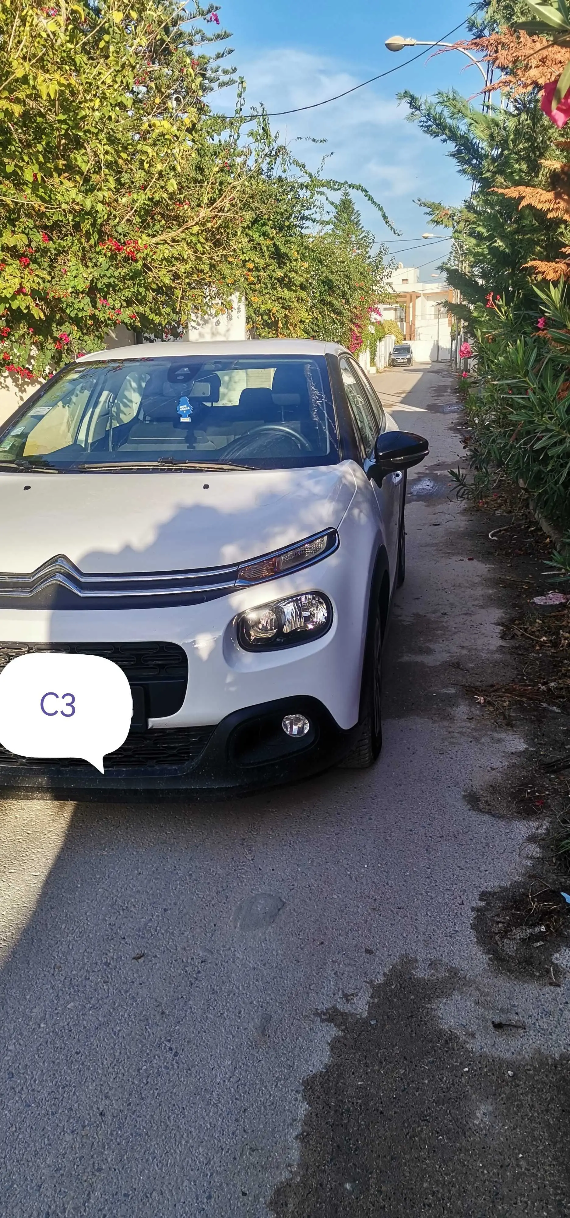  C3 importer de france à Tunis - Photo 3