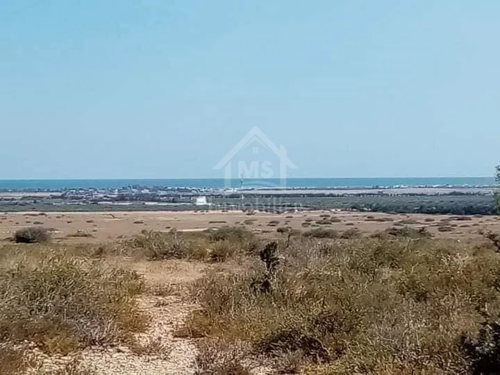  Terrain avec vue de mer de 2000 m² à Hammamet Sud à vendre 51355351 à Nabeul - Photo 3
