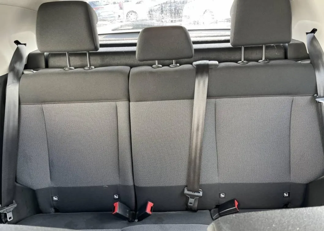  Citron C4 cactus_2019 à Nabeul - Photo 3
