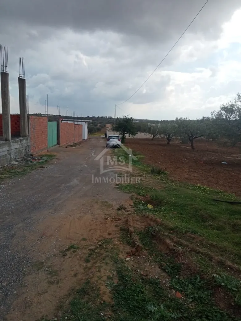  Lot de terrain de 200 m² à Hammamet Sud à vendre 51355351 à Nabeul - Photo 3