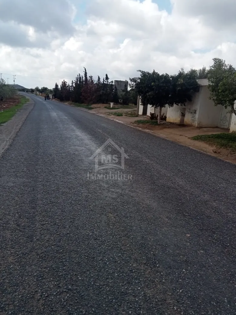  Lot de terrain de 200 m² à Hammamet Sud à vendre 51355351 