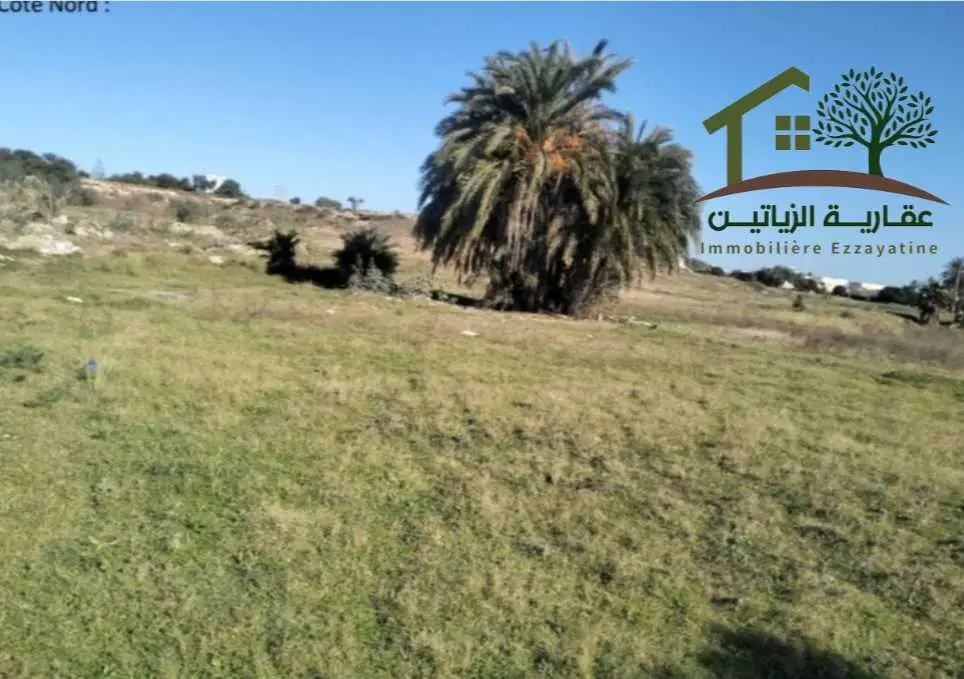  A vendre terrain a kantaoui 1967m² ????55050501 à sousse - Photo 3