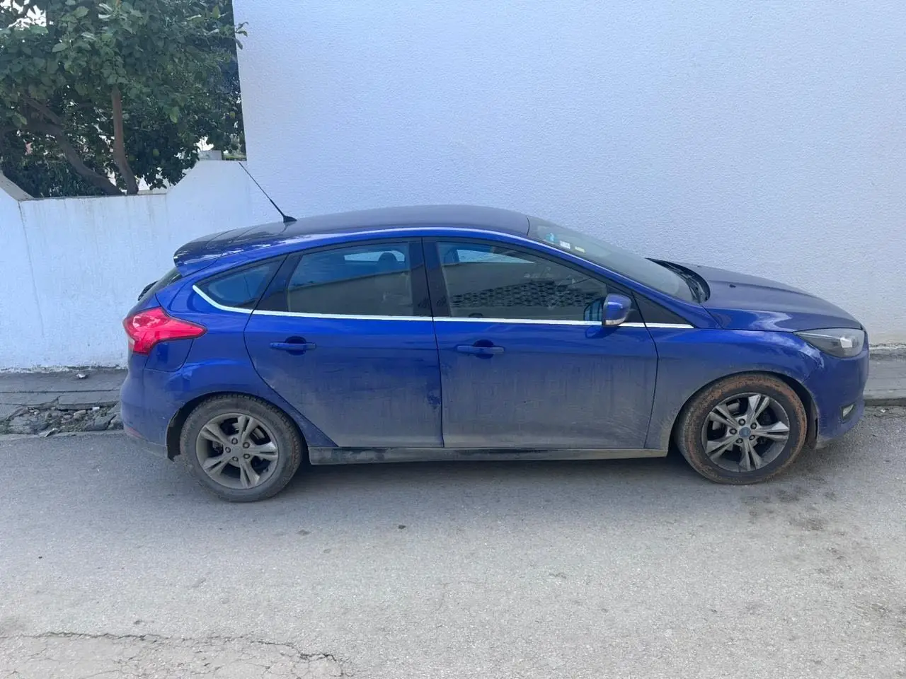  For foucus à Tunis - Photo 3