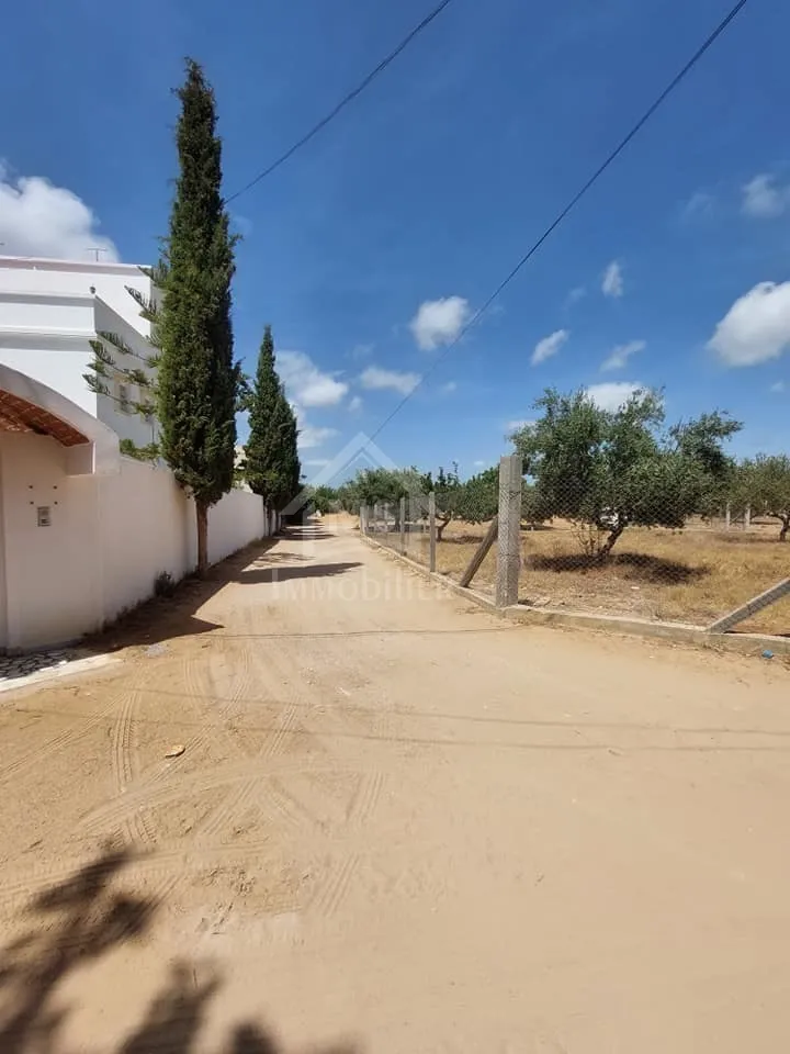  Terrain viabilisé de 600 m² à vendre à Hammamet 51355351 à Nabeul - Photo 3