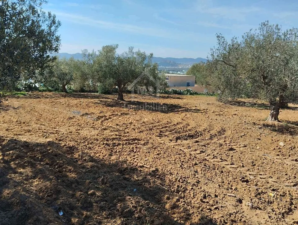  Un terrain de 1688 m² à vendre à Hammamet sud 51355351 à Nabeul - Photo 2