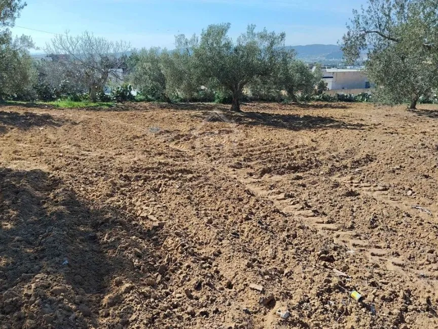  Un terrain de 1688 m² à vendre à Hammamet sud 51355351 