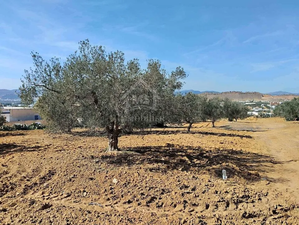  Un terrain de 1688 m² à vendre à Hammamet sud 51355351 à Nabeul - Photo 3