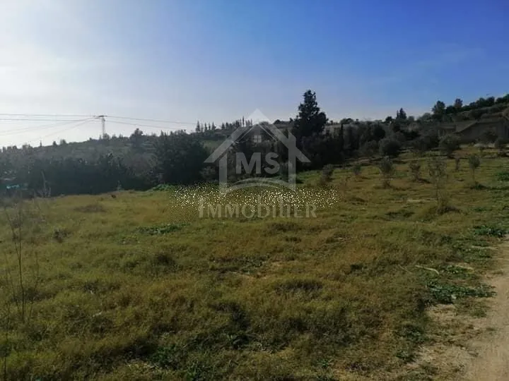  Terrain de 2500 m² à vendre à 270 MD à Hammamet Sud 51355351 