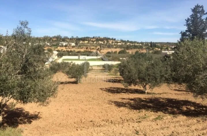 Terrain de 2500 m² à vendre à 270 MD à Hammamet Sud 51355351 à Nabeul - Photo 2