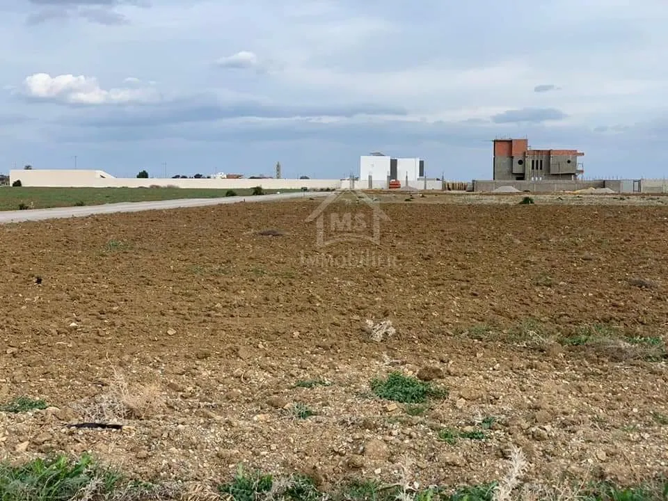  Un terrain de 1428 m² à KM71 à vendre 51355351 à Nabeul - Photo 2