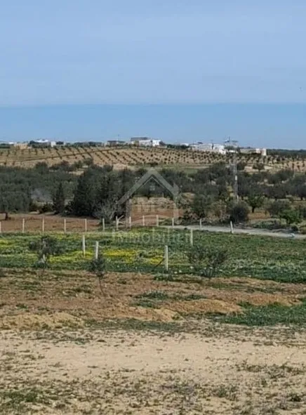  Terrain de 2851 m² à Hammamet Sud à vendre à 185 MD 51355351 à Nabeul - Photo 2