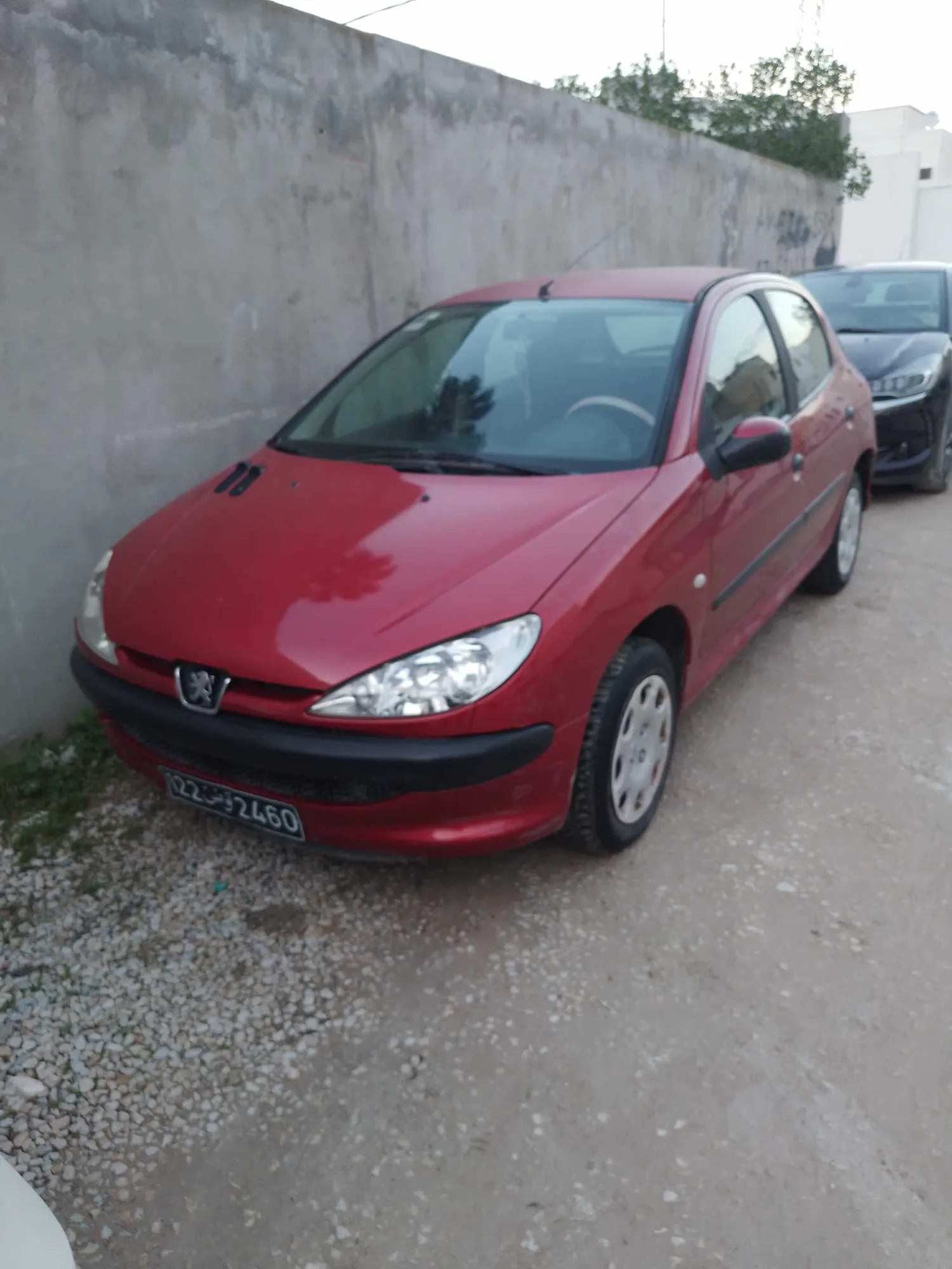  206 propre à Ariana - Photo 3