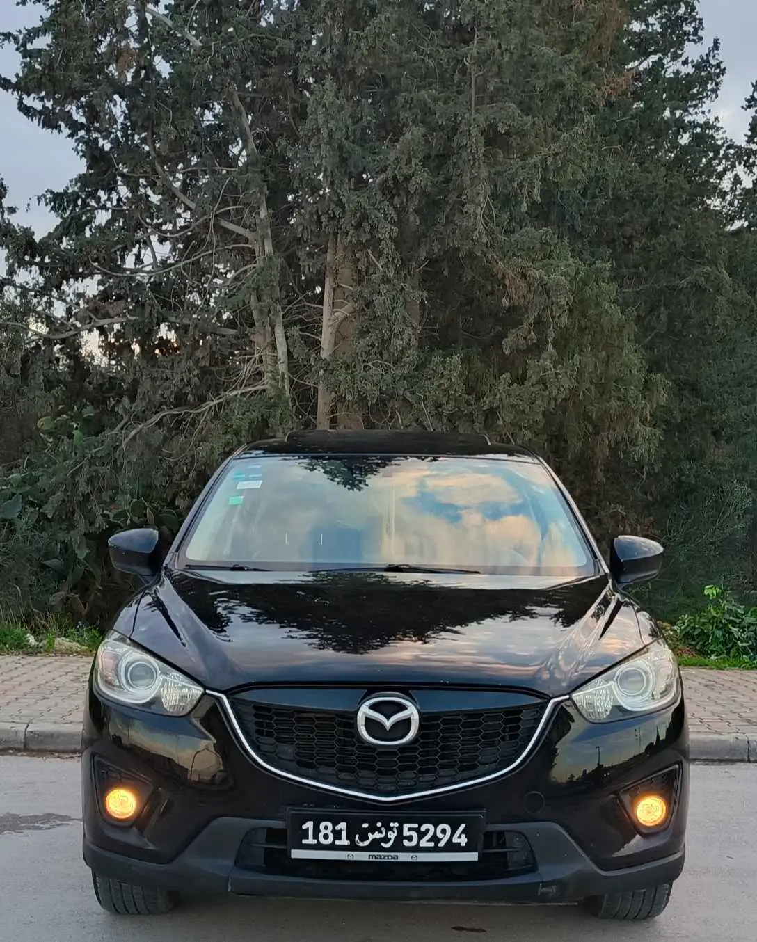 Geely GX3 