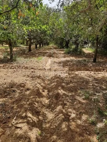  Terrain de 950 m² à vendre à Hammamet zone théâtre 51355351 à Nabeul - Photo 2