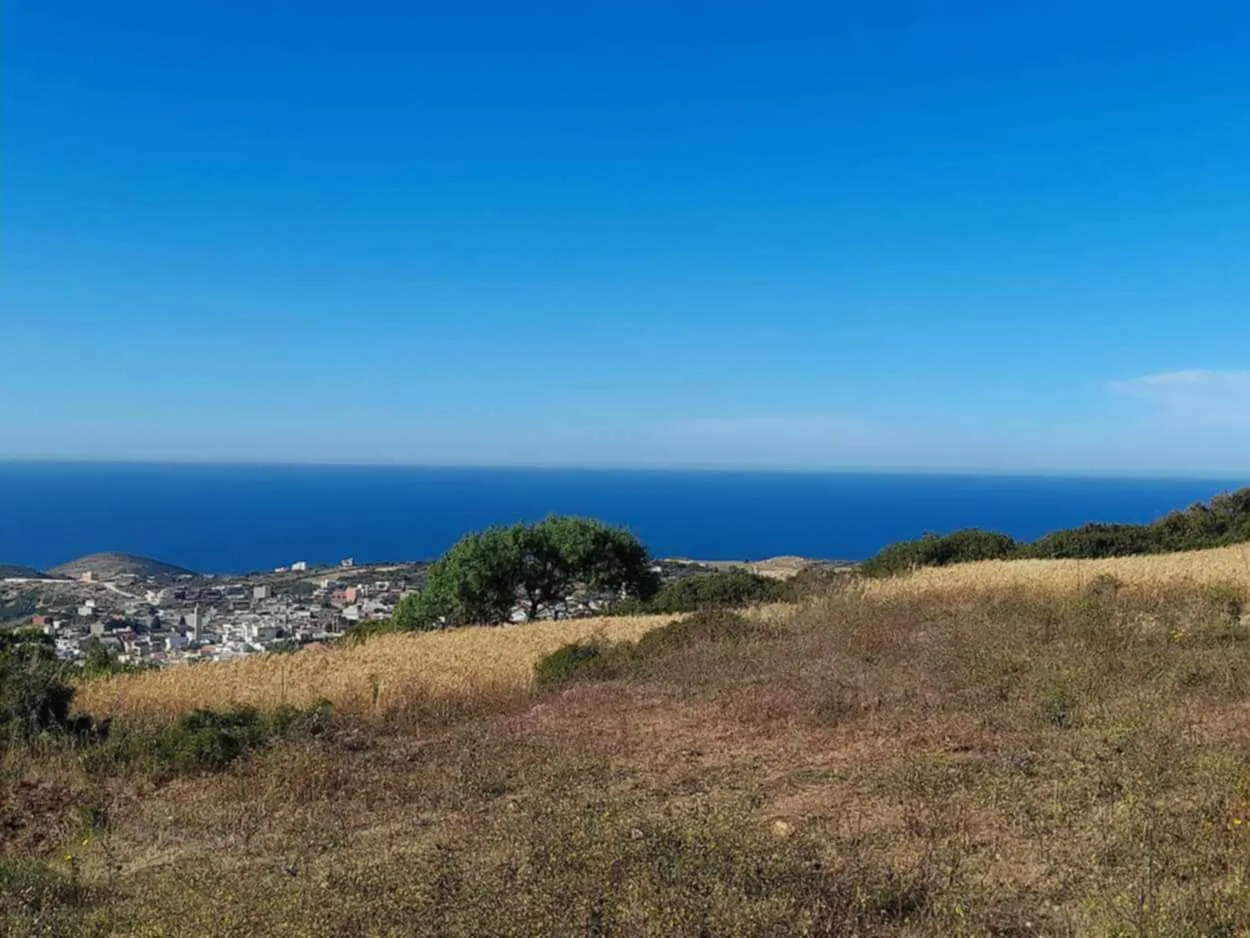 Terrain a raf raf 1 hectare à Bizerte - Photo 3