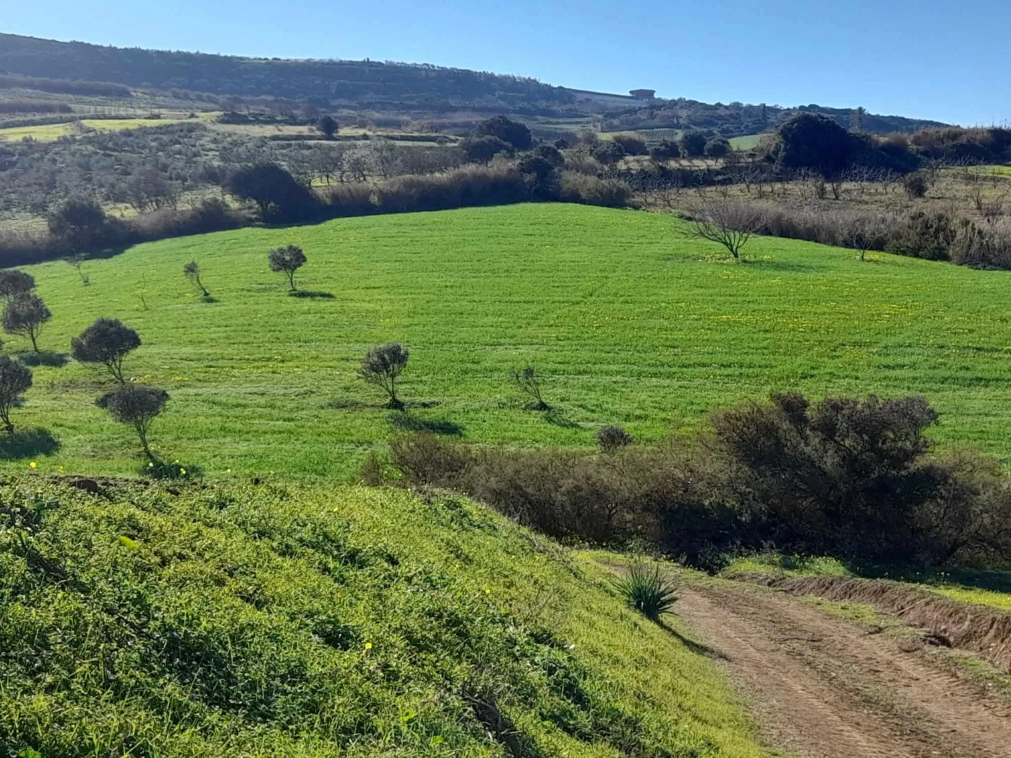  Terrain à vendre à raf raf de 2400 m² à Bizerte - Photo 2