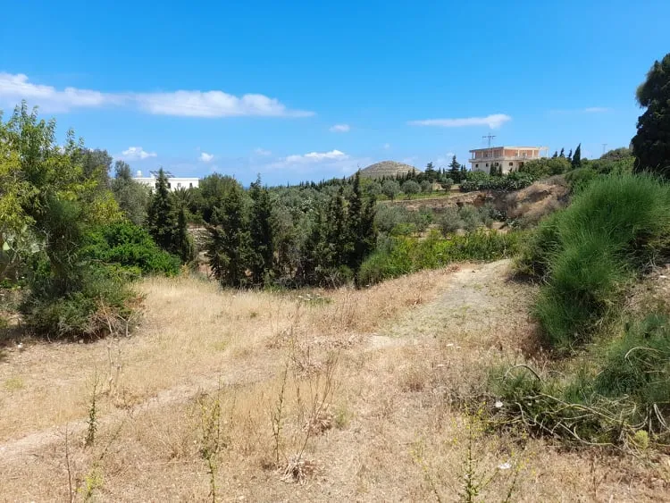  Terrain a raf raf 9300m² à Bizerte - Photo 3