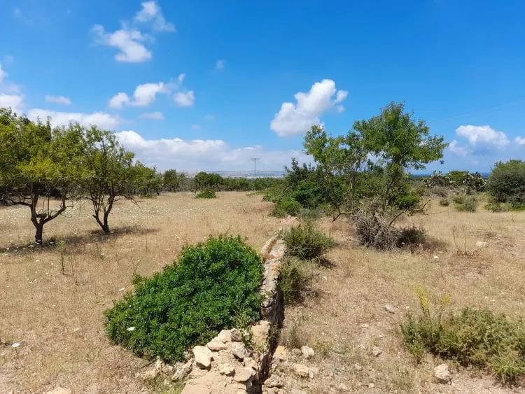  Terrain a raf raf 9300m² à Bizerte - Photo 2