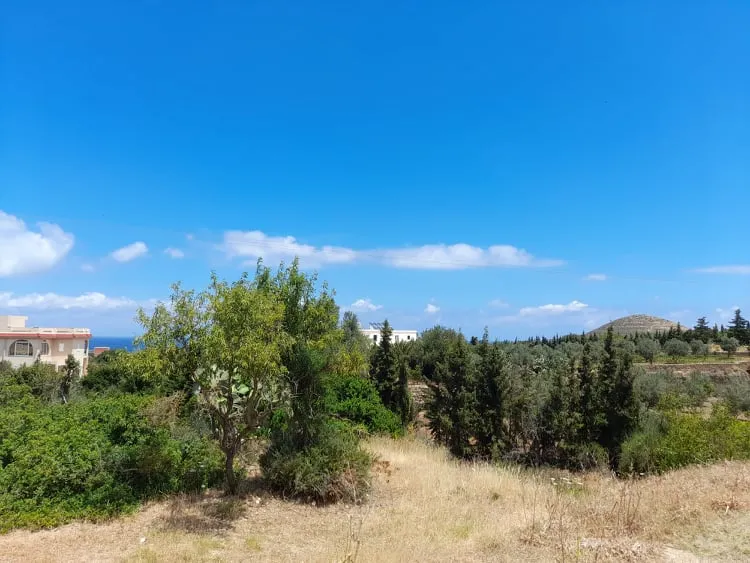  Villa " craxi " 
