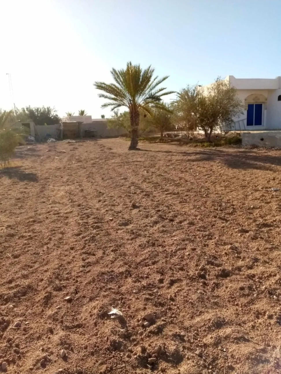  A vendre villa et houch arbi à Djerba à Medenine - Photo 2