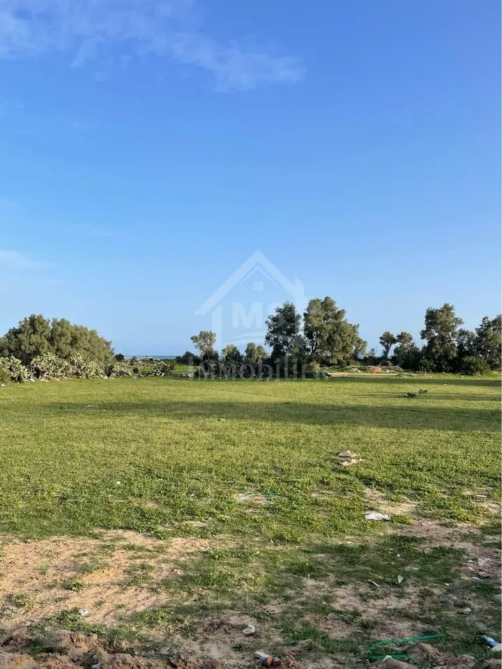  A VENDRE – S+1 – CITE EL WAHAT – TEL 58258423 - FB.7812 