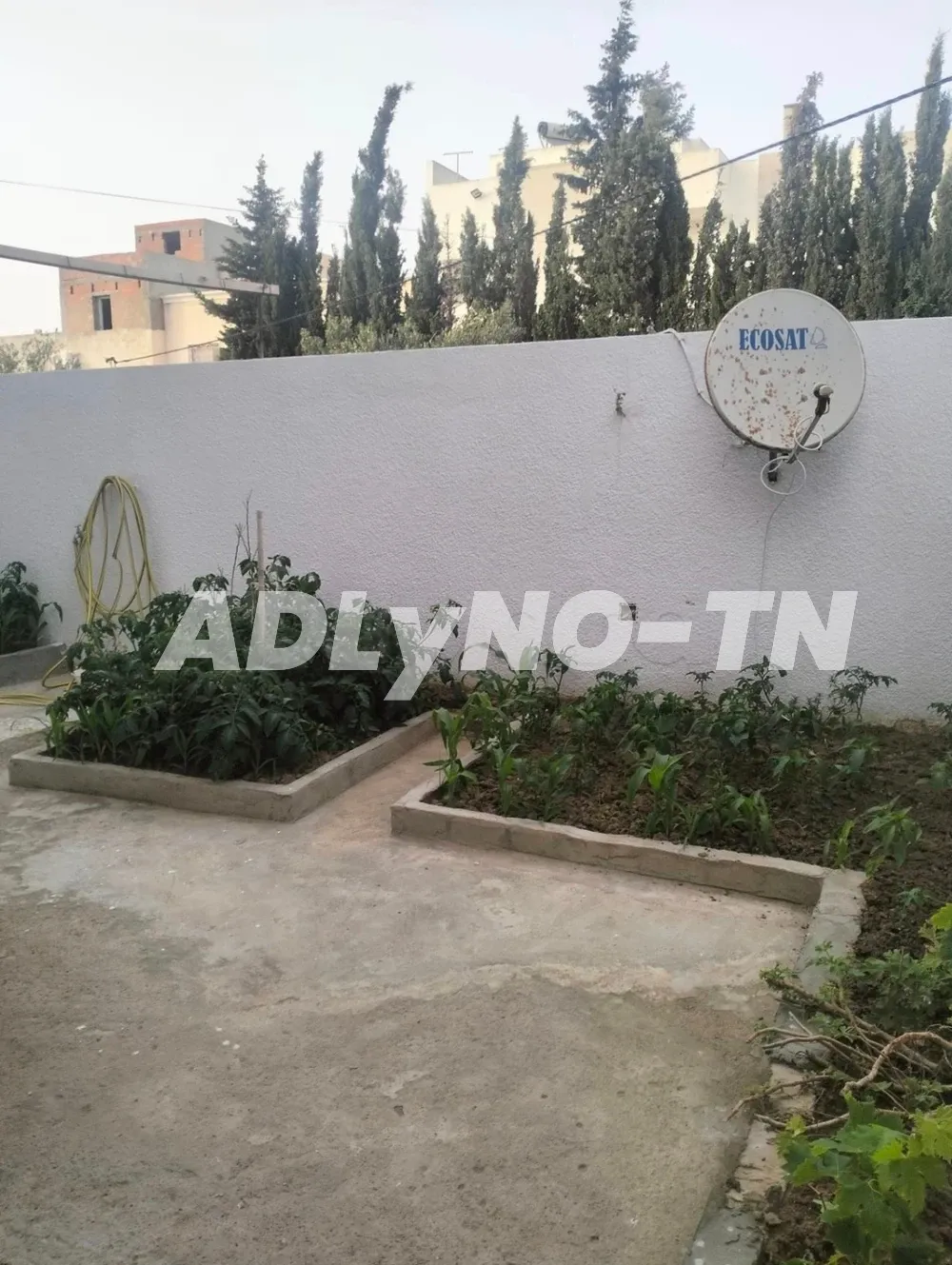 une villa a cite ryadh kelibia à Nabeul - Photo 3
