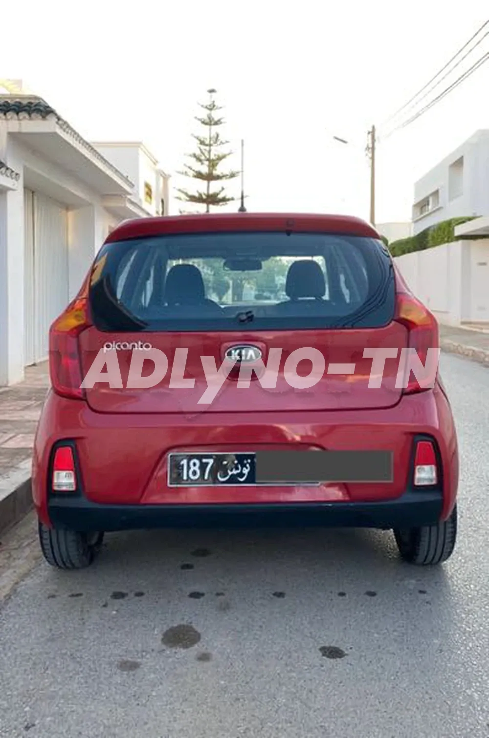 ??kia picanto?? à Tunis - Photo 5