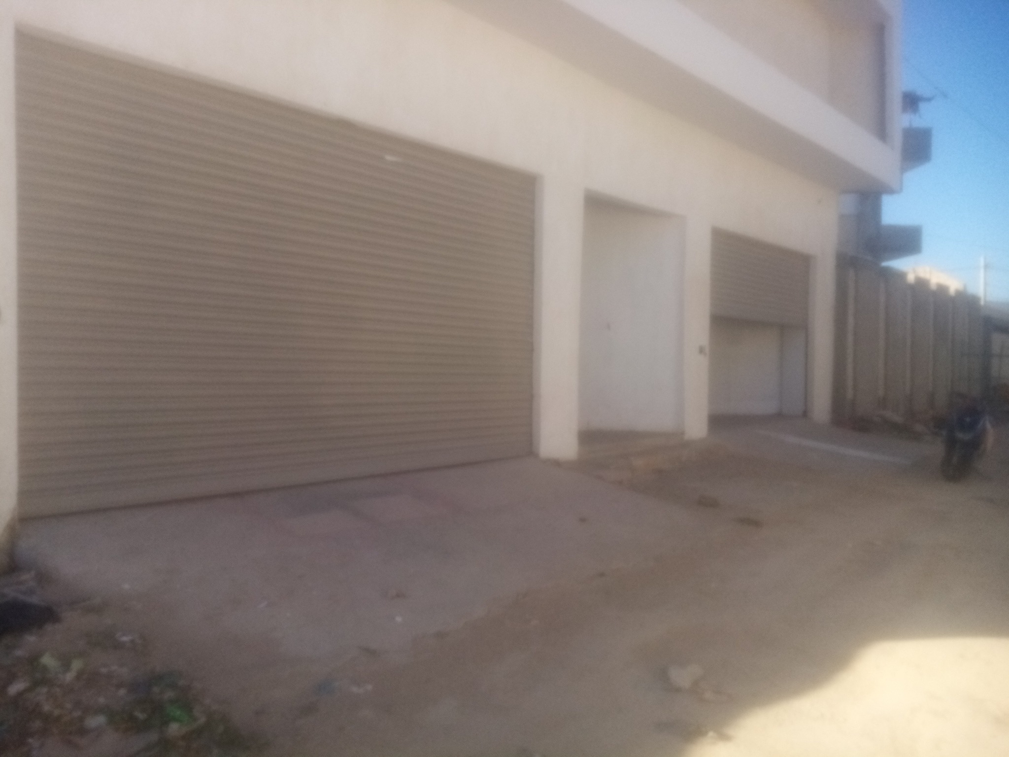    Grand depot de 306 m2 a à Tunis - Photo 1