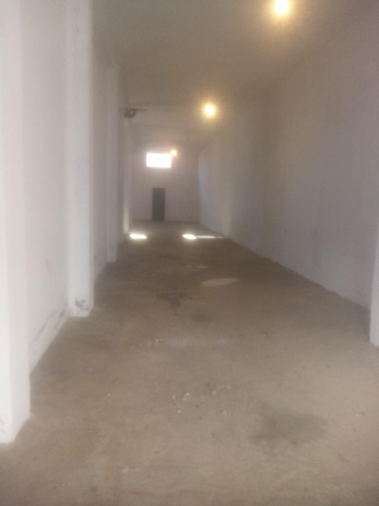    Grand depot de 306 m2 a à Tunis - Photo 2