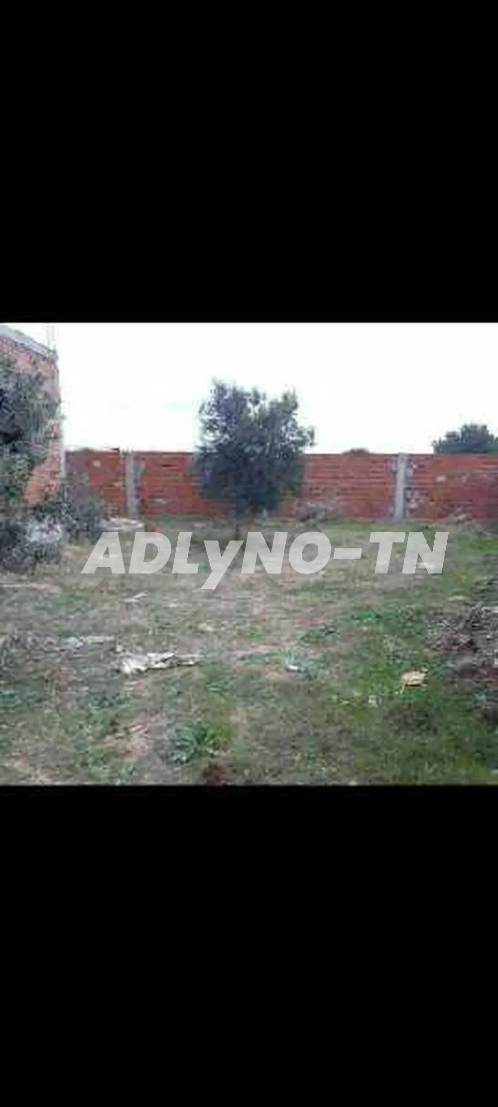 maison 500m2 yasmine hammamet 180.000 MD à Nabeul - Photo 5