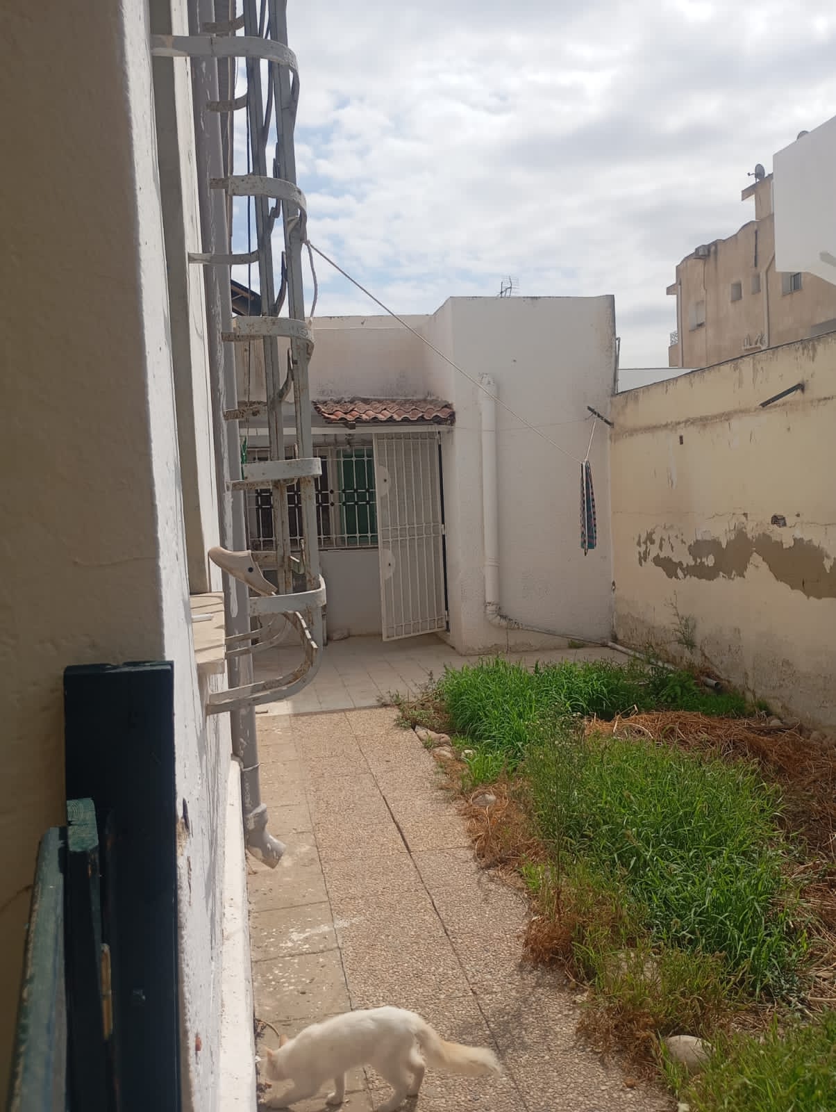    Le bardo dans un quartie à Tunis - Photo 3