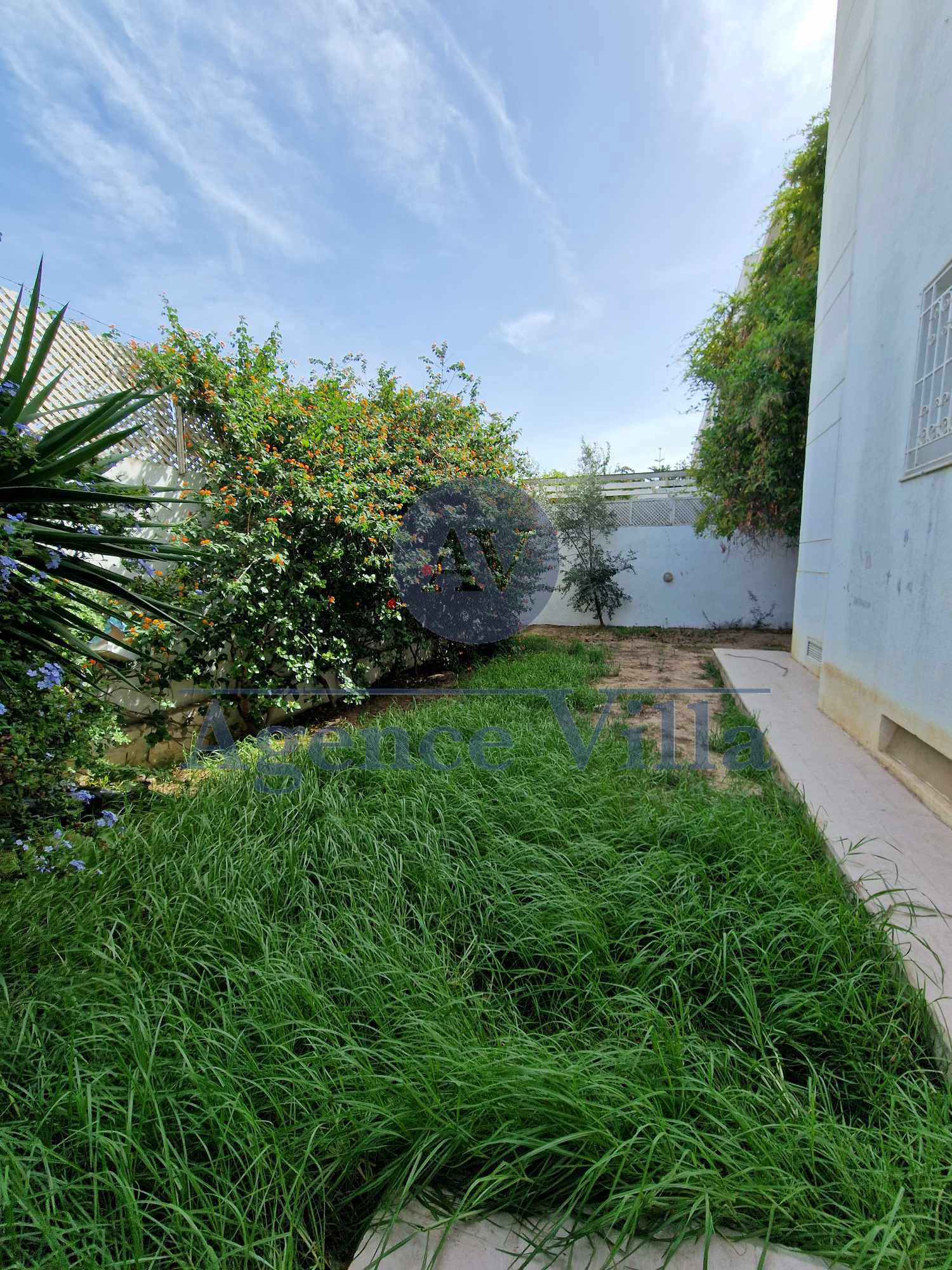     Duplex s4 marsa avec à Tunis - Photo 3