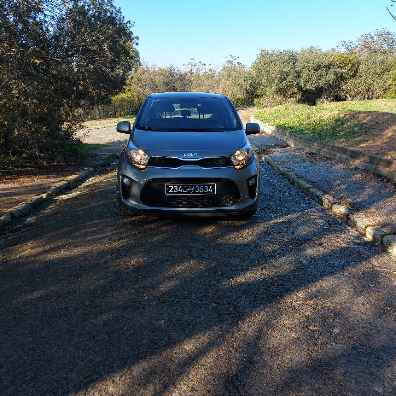 Kia PICANTO Essence 2023 à Tunis - Photo 4