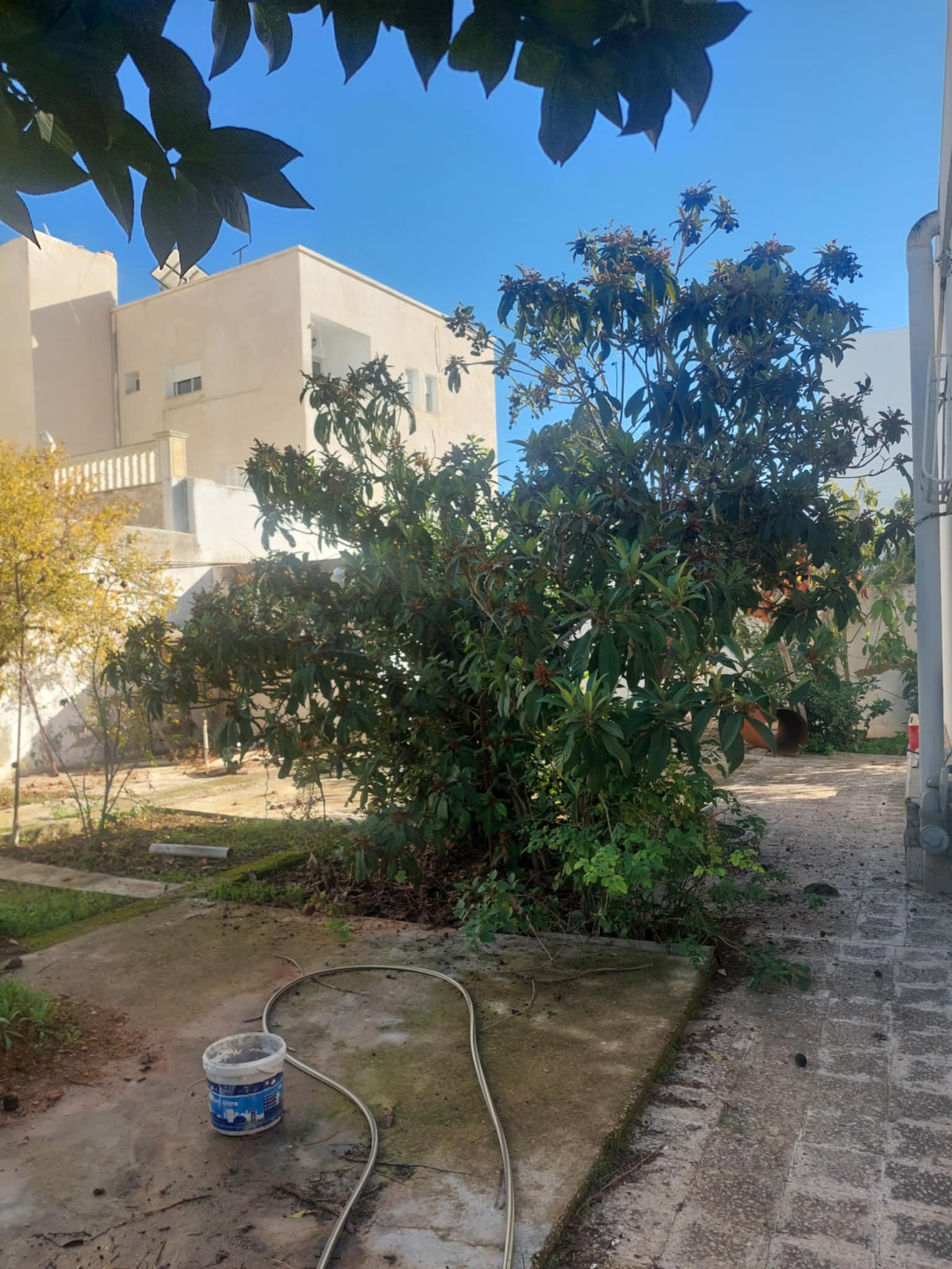    Opportunité villa khazna à Tunis - Photo 1