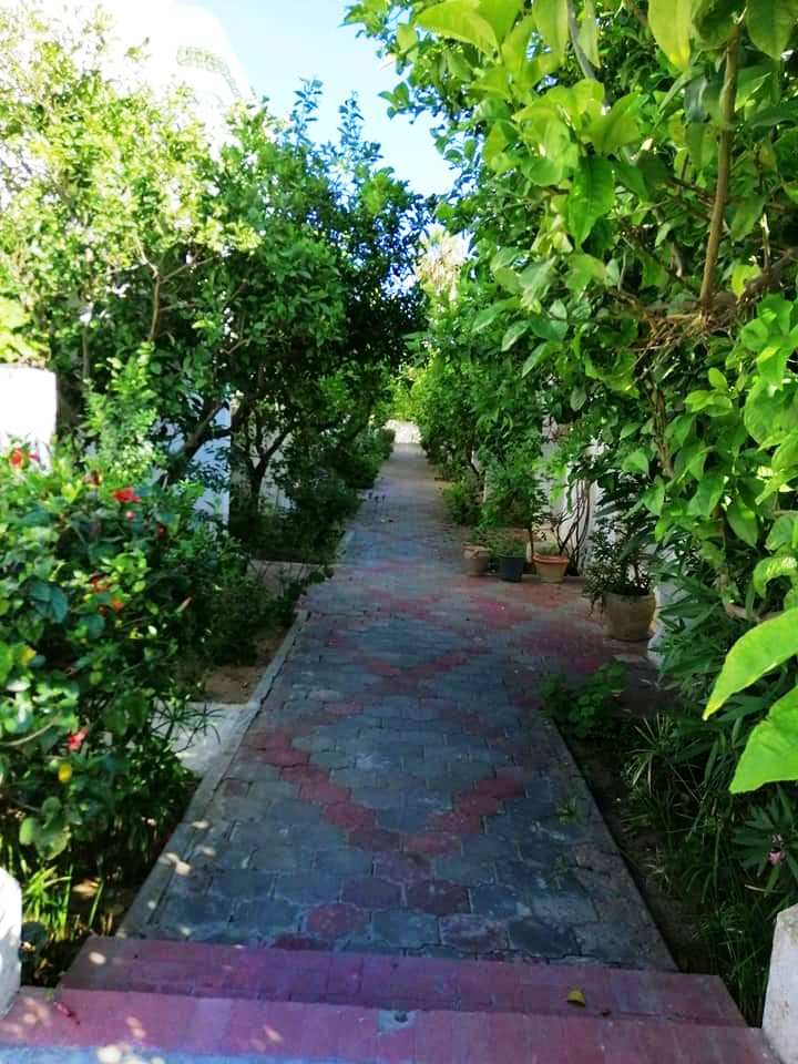    Villa hammamet meublée à Nabeul - Photo 2
