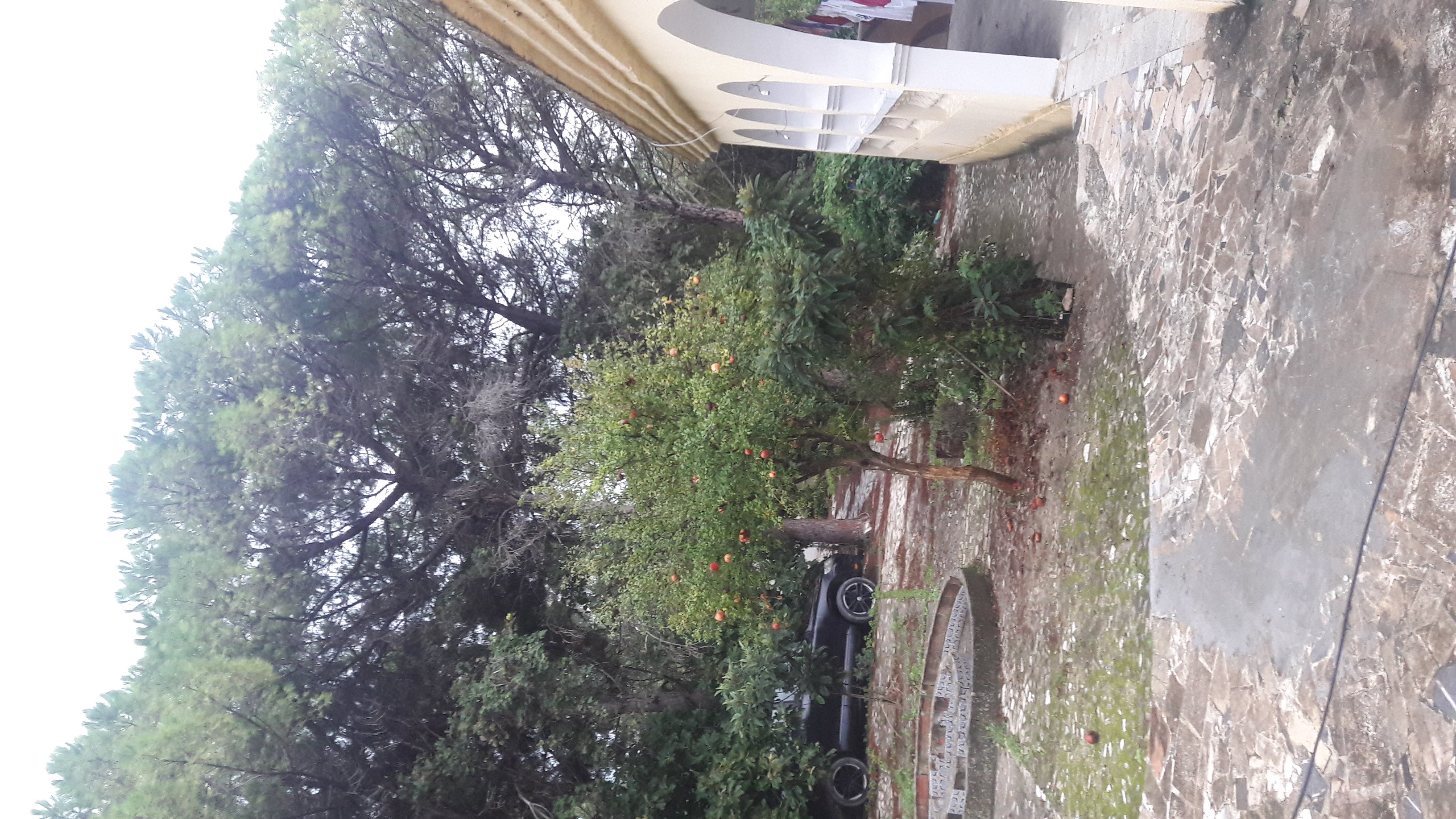    Terrain avec maison à ca à Tunis - Photo 3