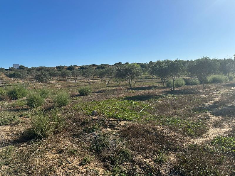  Appart s+3 situé à manar 2 meublé 