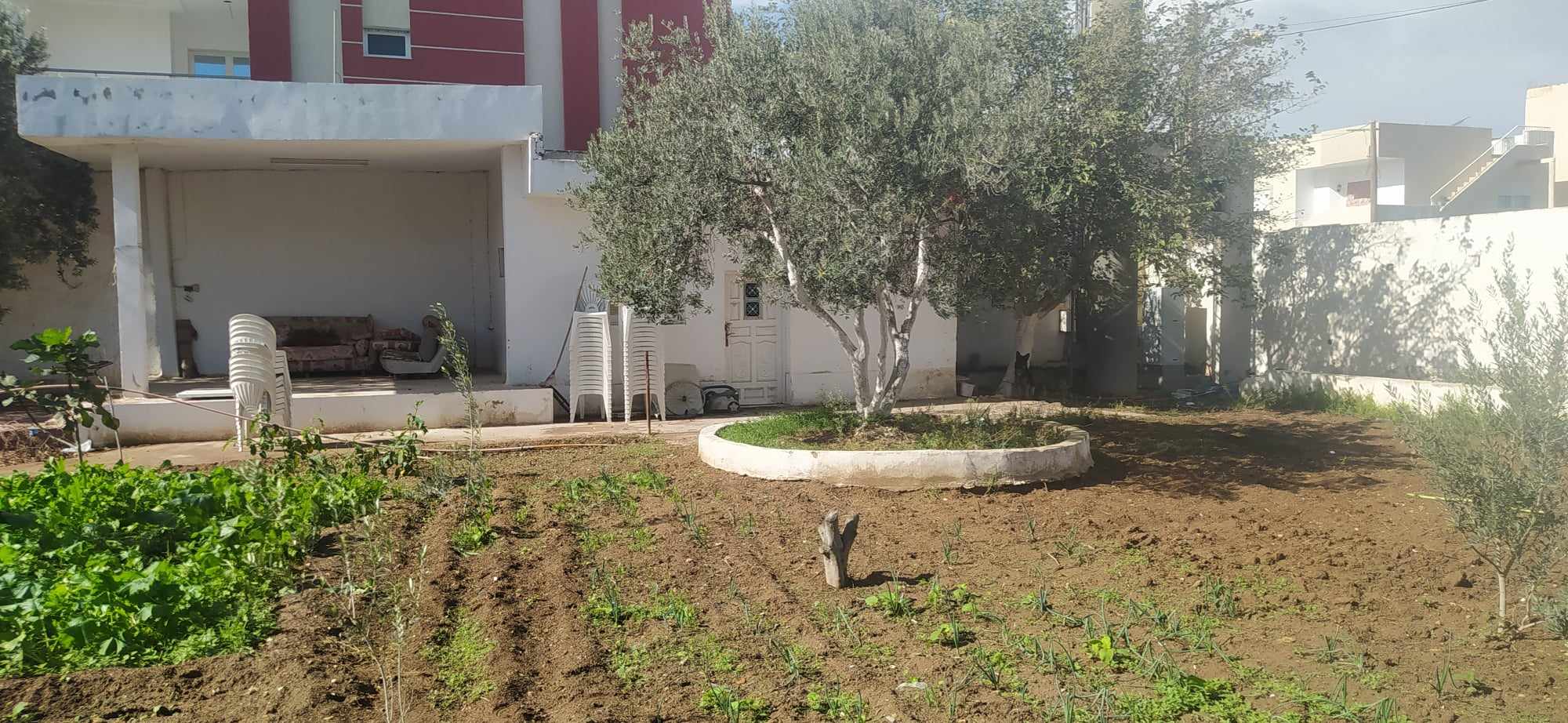    Terrain dans une ruelle à Tunis - Photo 1