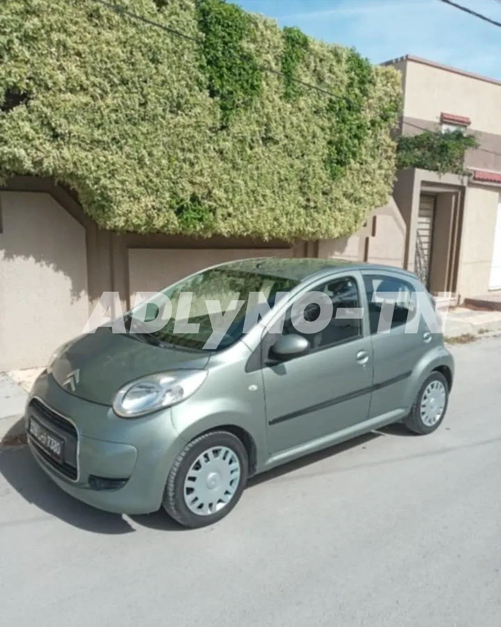  Vélo vtc giant بسكلة دراجة 