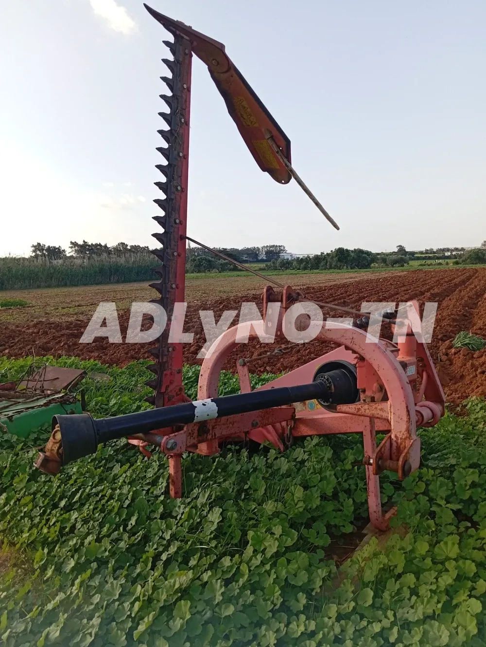 menjel à Nabeul - Photo 3