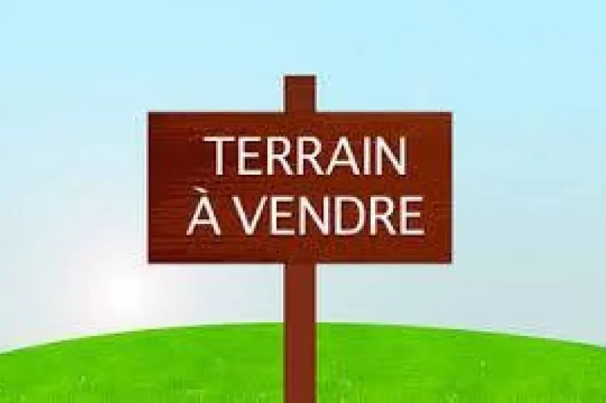  À VENDRE LOTS DE TERRAINS À FONDOUK DJEDID 