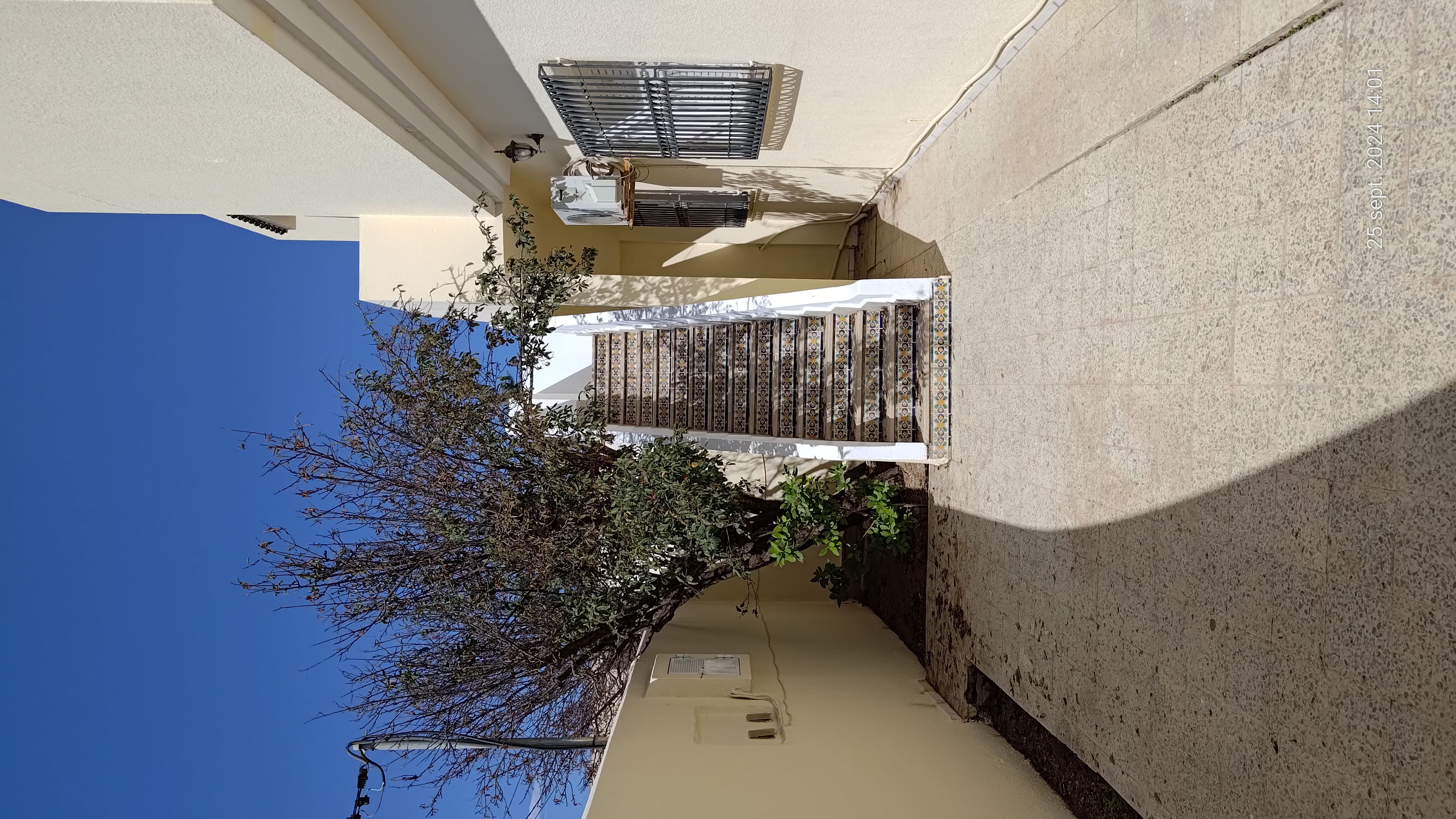    Route x près du parc du à Tunis - Photo 1