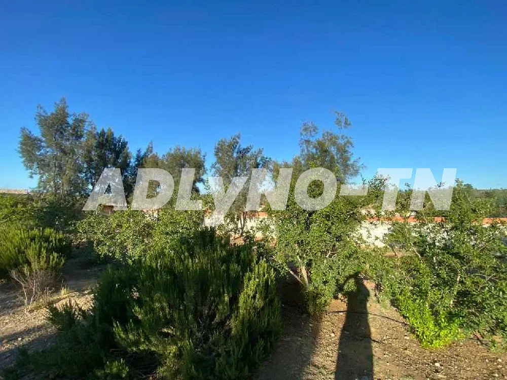 Terrain pour villa dans résidence zone agricole calme à sousse - Photo 3