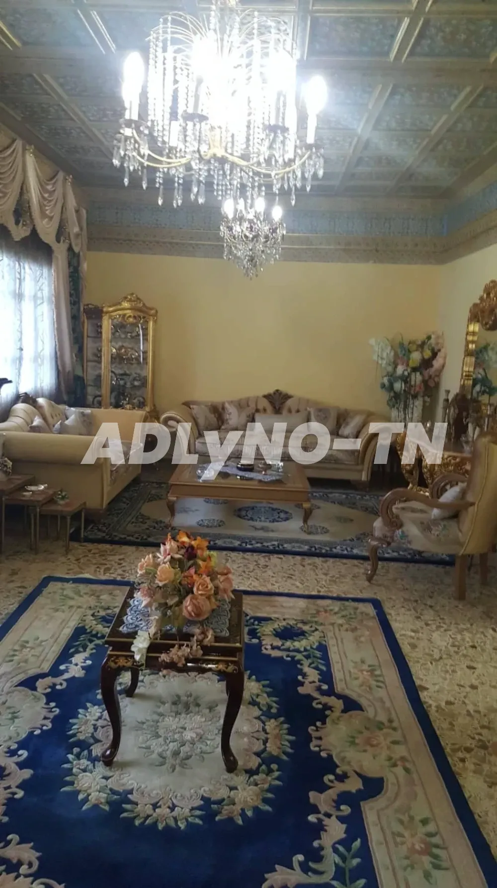 Belle Villa Style Arabesque Ezzahra à Ben Arous - Photo 3