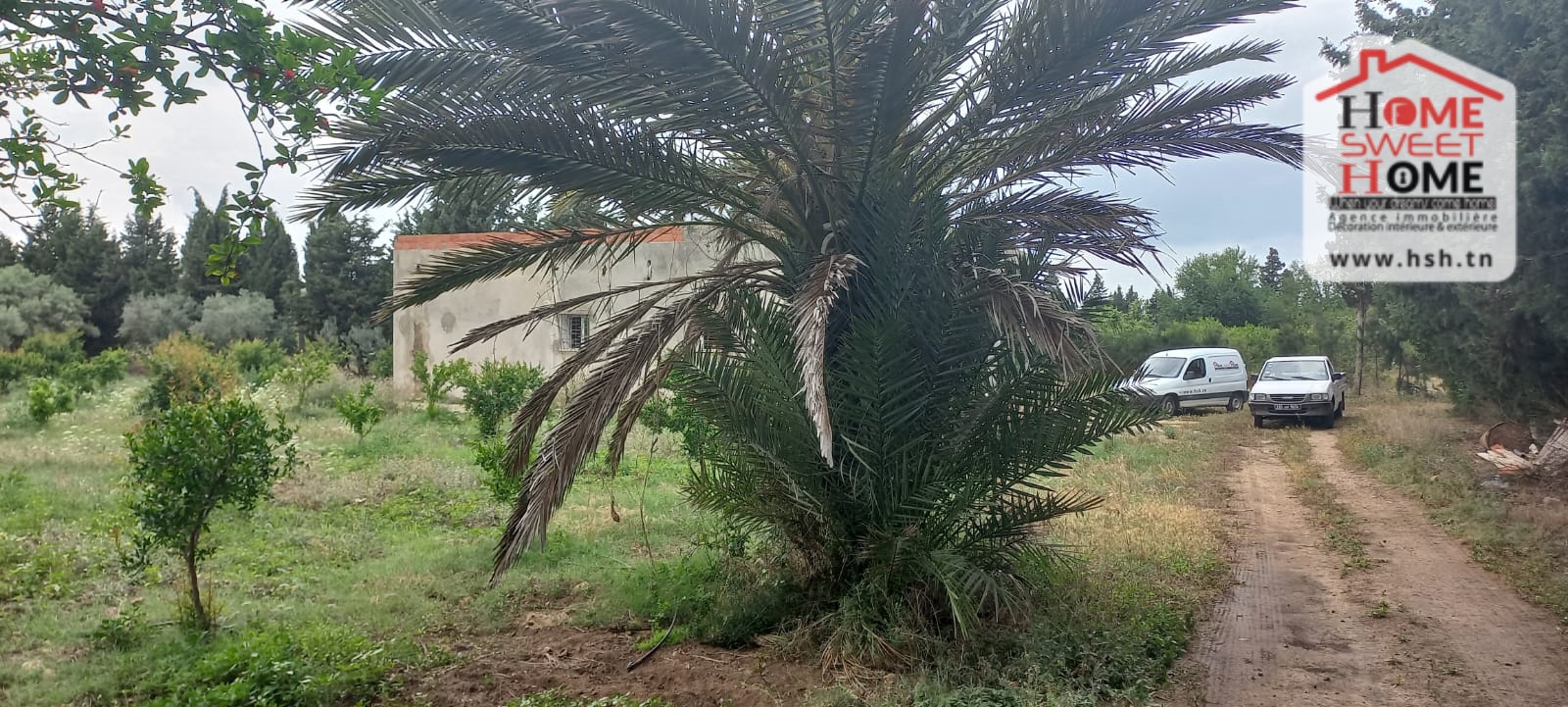     Ferme margherita à s à Nabeul - Photo 1