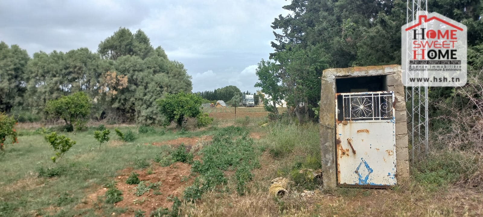     Ferme margherita à s à Nabeul - Photo 4