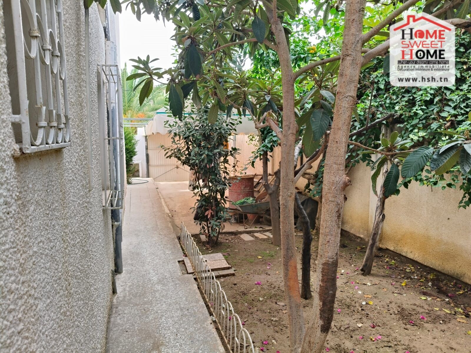     Pas de porte venus à à Tunis - Photo 3
