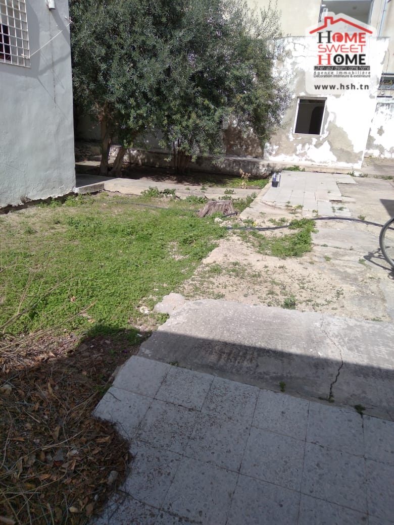     Terrain moly à carth à Tunis - Photo 2