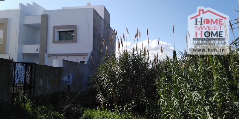     Terrain gammarth vil à Tunis - Photo 3